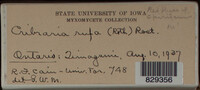 Image Associated With the Occurence